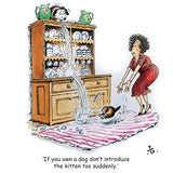 A startled woman watches water pour from a broken teapot onto a dog and kitten in this Thelwell Cartoon Cat Greeting Card Multipack by CountrysideGreetings—12 square, cat-themed cards printed on sustainable cardstock.