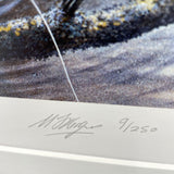 Close-up of a Leaping Brown Trout fishing print by M J Pledger from CountrysideGreetings, featuring the artists handwritten signature and edition number 91/250 in pencil on the white border.