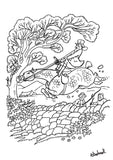Thelwell’s Colouring Book by Countryside Greetings features 22 A4 pages of ponies, horses, and countryside scenes—perfect for fans who love charming equestrian cartoons.