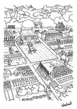 Thelwell’s Colouring Book by Countryside Greetings: 22 A4 pages of black-and-white illustrations featuring ponies, horses, and countryside scenes—ideal for colouring and perfect for fans of lively outdoor life.