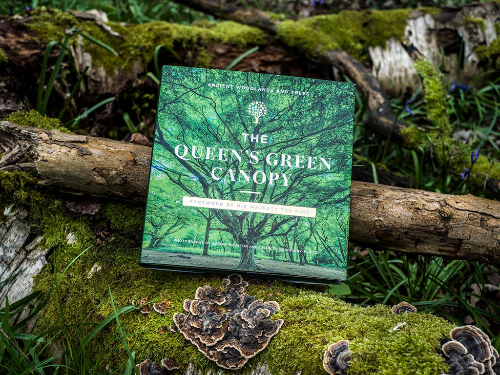 The Queen’s Green Canopy: Ancient Woodlands and Trees — A Living Tribute to Her Majesty’s Legacy
