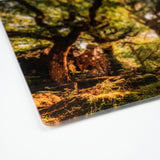 CSP Countryside Greetings Worktop Saver | Food Platter – Featuring T Y Canol Ancient Oak Wood