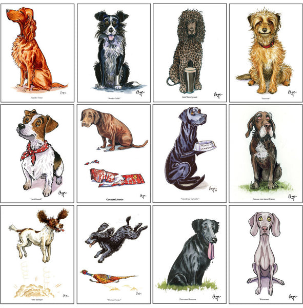 Working Dog Greeting Card Multipack 