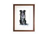 Border Collie Bryn Parry Open Edition Print. Perfect for Dog Lovers