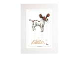 The Springer Bryn Parry Open Edition Print. Perfect for Dog Lovers