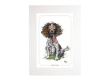 Springer Spaniel Bryn Parry Open Edition Print. Perfect for Dog Lovers