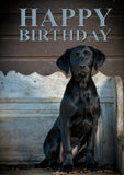 Birthday Card Featuring Black Labrador Puppy – A5 Size (Folded) | Adorable Pup on Rustic Bench | Eco-Friendly & UK Printed