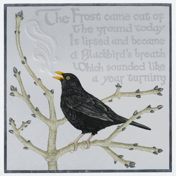 Blackbird themed blank greeting card for wildlife, nature and bird enthusiasts Turdus merula
