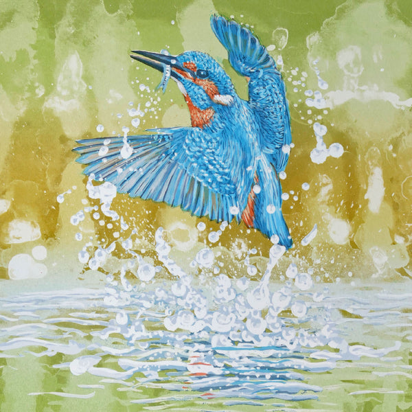 kingfisher greeting card  for wildlife, bird and nature enthusiasts,  Alcedinidae