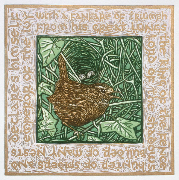 Wren themed greeting card for bird, nature and wildlife enthusiasts, Troglodytidae