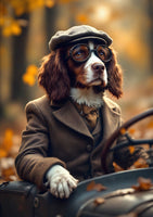 Montagu the Springer Spaniel