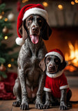 Two German Wirehaired Pointer posed indoors in front of a warm fireplace, each wearing a Santa hat. The larger dog wears only the hat, while the smaller dog wears a red Santa outfit with white trim.