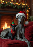 Two Whippets posed on a red velvet sofa in front of a warm fireplace. The larger gray dog wears a red Santa hat, and the smaller black dog wears a red Santa vest with a green and red elf hat and red collar.