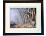 Beech Trees on Ladle Hill in Winter. Limited edition print by Charles Sainsbury-Plaice