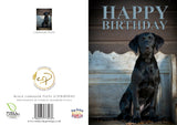 Birthday Card Featuring Black Labrador Puppy – A5 Size (Folded) | Adorable Pup on Rustic Bench | Eco-Friendly & UK Printed