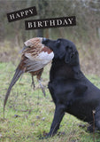 Labrador lovers greeting card gift box set or multipack