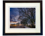 Beech Trees & Sunset limited edition print by Charles Sainsbury-Plaice
