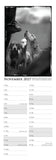 Charles Sainsbury-Plaice Country Sports Calendar 2027 product image for Countryside Greetings