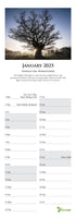 The Great Oaks of The British Isles Tree Calendar 2025 by Charles Sainsbury-Plaice
