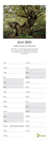 The Great Oaks of The British Isles Tree Calendar 2025 by Charles Sainsbury-Plaice