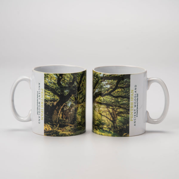 Pentre Ifan Ancient Woodland Mug