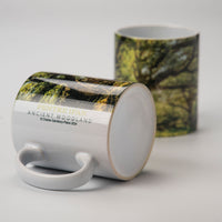 Pentre Ifan Ancient Woodland Mug