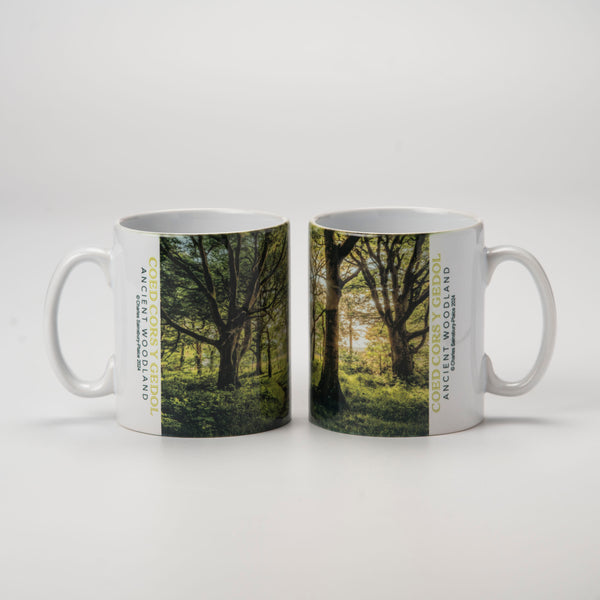 Ceramic Tree and Woodland  Mug. Coed Cors y Gedol (Snowdonia) by Charles Sainsbury-Plaice