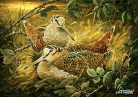 Woodcock greeting card. Game birds by Dick Twinney