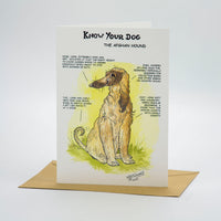 Afghan Hound Dog Greeting Card by Dick Twinney