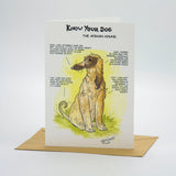 Afghan Hound Dog Greeting Card by Dick Twinney