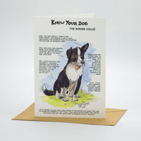 Border Collie Dog Greeting Card by Dick Twinney