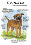 Border Terrier Dog Greeting Card by Dick Twinney