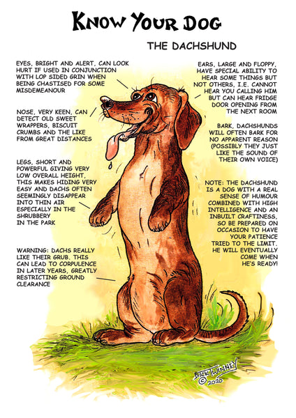 "Know Your Dog" Dachshund Greeting Card by Dick Twinney