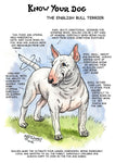 English Bull Terrier Greeting Card