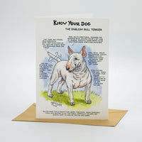 English Bull Terrier Greeting Card