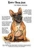 "Know Your Dog" French Bulldog Greeting Card by Dick Twinney