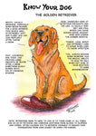Dick Twinney's "Know Your Dog" Golden Retriever Greeting Card - Celebrate the Beloved Breed with Style
