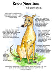 Greyhound Dog Greeting Card by Dick Twinney