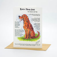 "Know Your Dog" Irish Setter Greeting Card by Dick Twinney