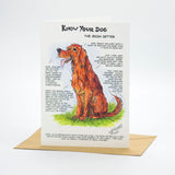 "Know Your Dog" Irish Setter Greeting Card by Dick Twinney