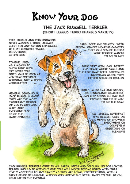 "Know Your Dog" Jack Russell Terrier Greeting Card by Dick Twinney