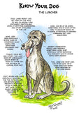 Carte de vœux pour chien Lurcher par Dick Twinney