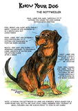 Rottweiler Greeting Card