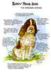 Dick Twinney's "Know Your Dog" Springer Spaniel Greeting Card - A Charming Tribute to the Beloved Breed