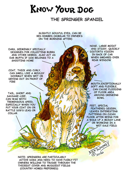 Dick Twinney's "Know Your Dog" Springer Spaniel Greeting Card - A Charming Tribute to the Beloved Breed