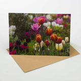 Tulip Greeting Card – A5 Size (Folded) | Vibrant Spring Garden Scene | Eco-Friendly & UK Printed