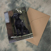 Product Title: Black Labrador Dog Greeting Card – A5 Size (Folded) | Featuring Puppy in Wheelbarrow | Eco-Friendly & UK Printed | Photography by Charles Sainsbury-Plaice