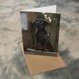 Product Title: Black Labrador Dog Greeting Card – A5 Size (Folded) | Featuring Puppy in Wheelbarrow | Eco-Friendly & UK Printed | Photography by Charles Sainsbury-Plaice