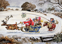 Reindeer and pony Thelwell cartoon christmas card