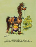 Thelwell Framed Pony Print – Learning How to Mount Your Pony Cartoon | A5 Mounted Pony Art